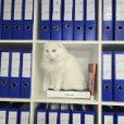 Traitement des salaires Bulgarie